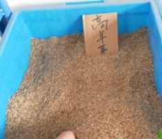 詳細介紹一下糊料的基本要求
